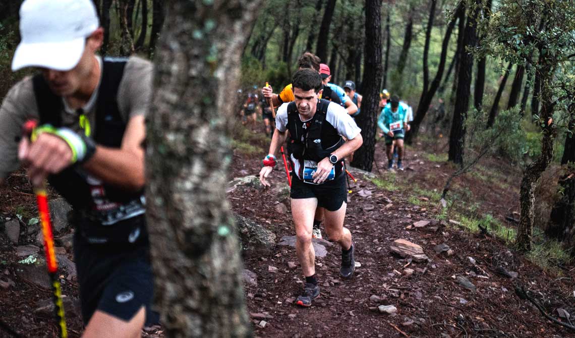 Arumani, Patrocinador Oficial de la Marató dels Dements 2024